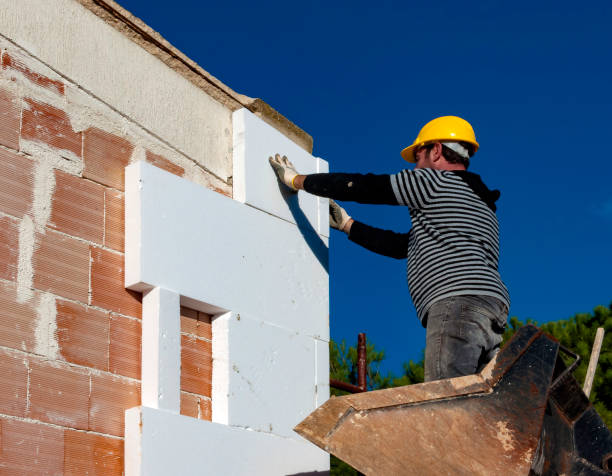 Best Insulation Removal Services  in Campbell, OH